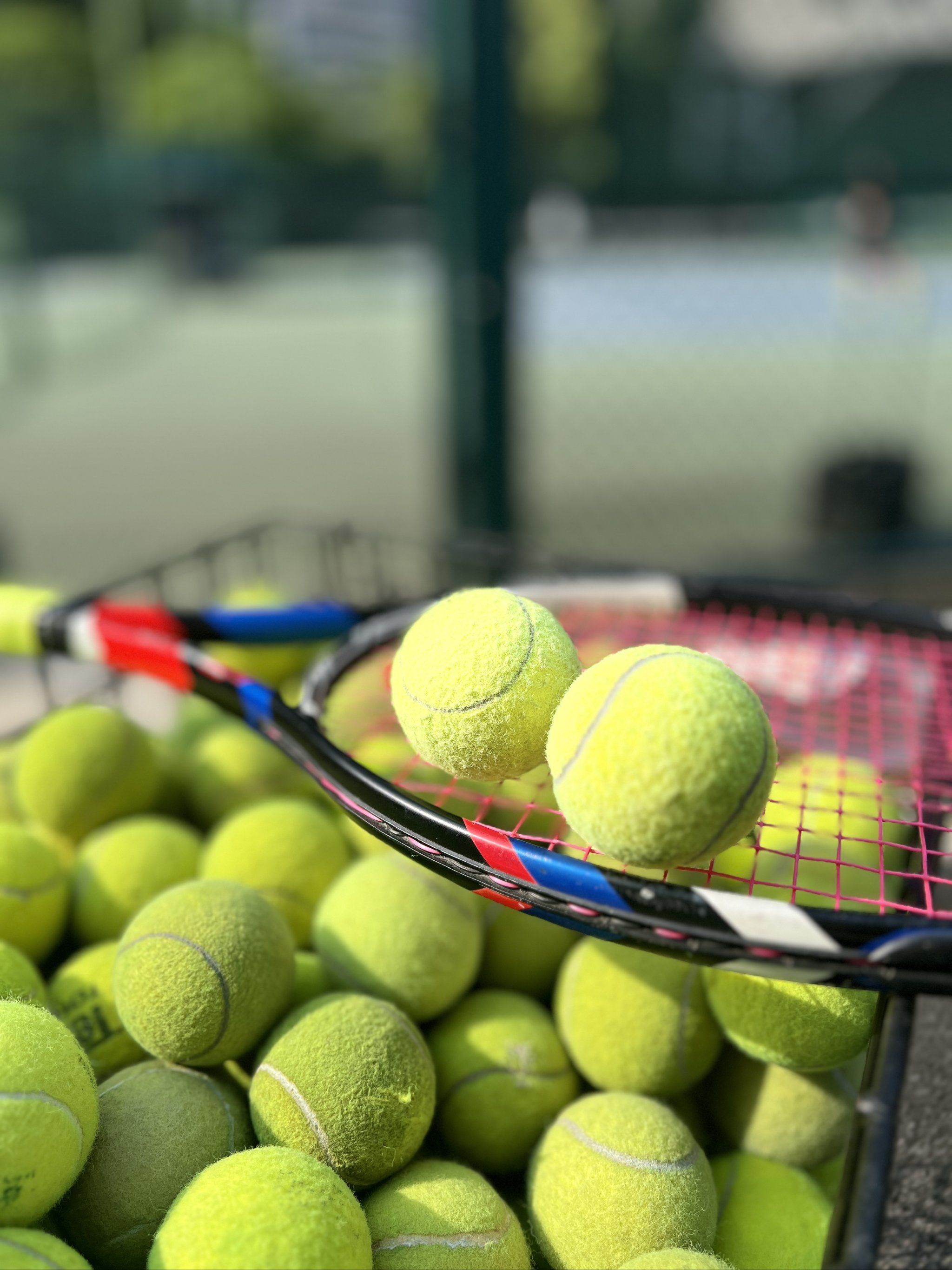 屡屡奏凯 屡屡奏凯